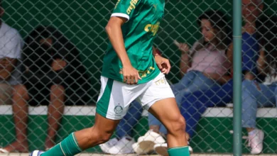 luis pacheco abel ferreira