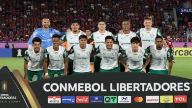 palmeiras