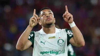palmeiras vitor roque