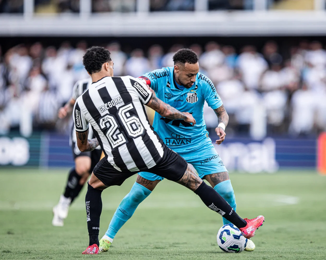 santos x botafogo