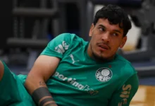 palmeiras gustavo gómez
