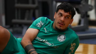 palmeiras gustavo gómez