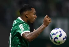 allan palmeiras