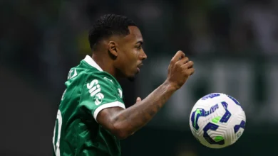 allan palmeiras