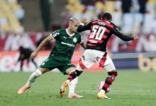 palmeiras x flamengo