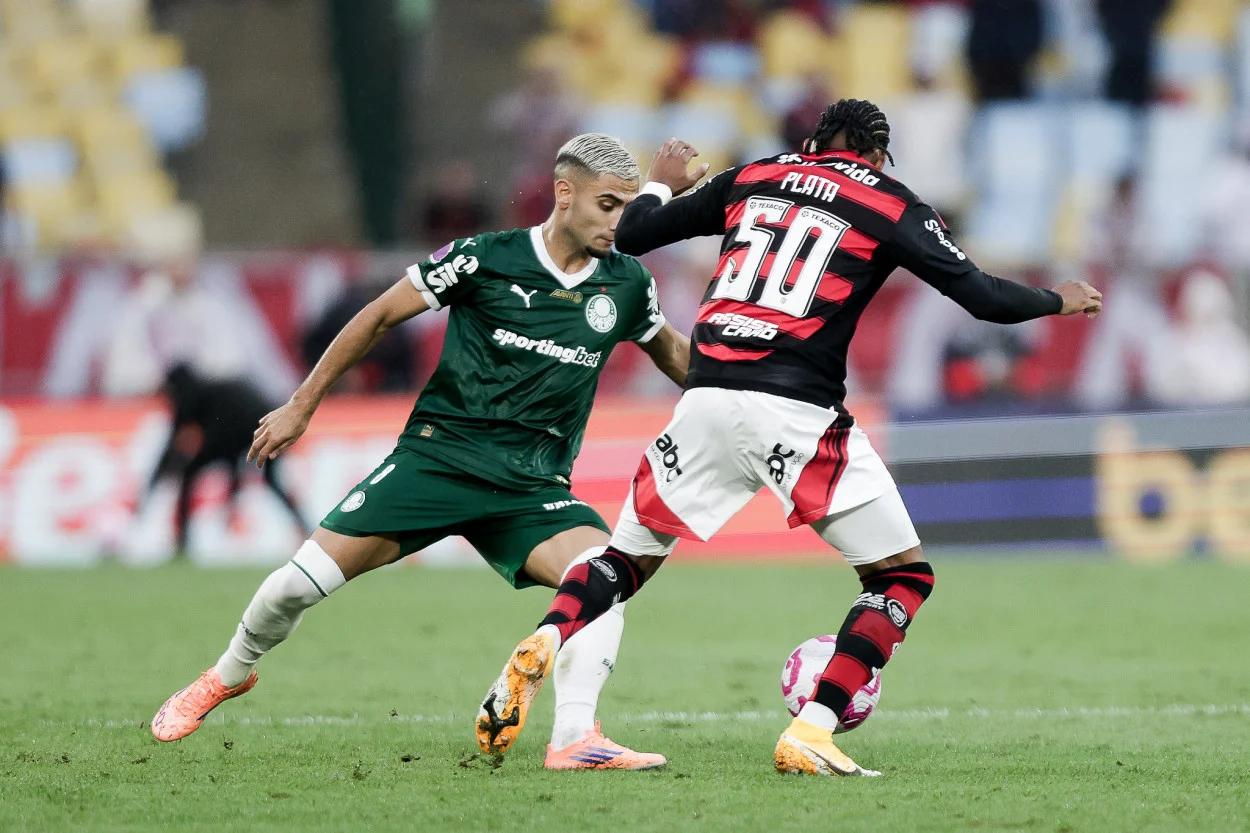 palmeiras x flamengo