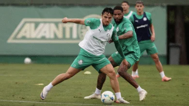 veiga palmeiras treino