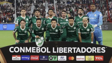 palmeiras