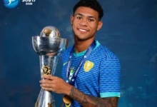 luis pacheco palmeiras