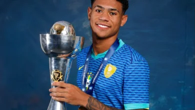 luis pacheco palmeiras