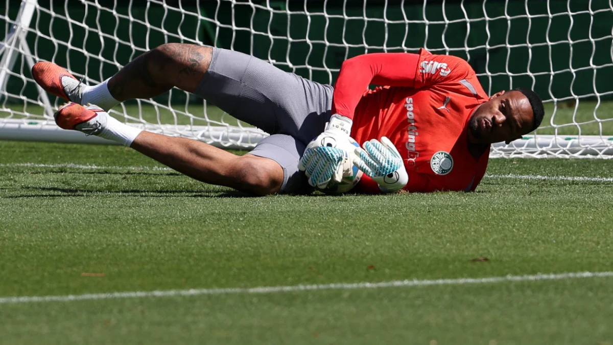 palmeiras carlos miguel