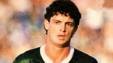 palmeiras