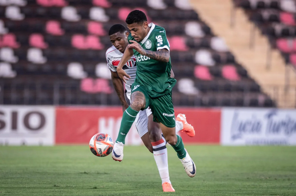 palmeiras