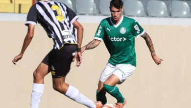palmeiras