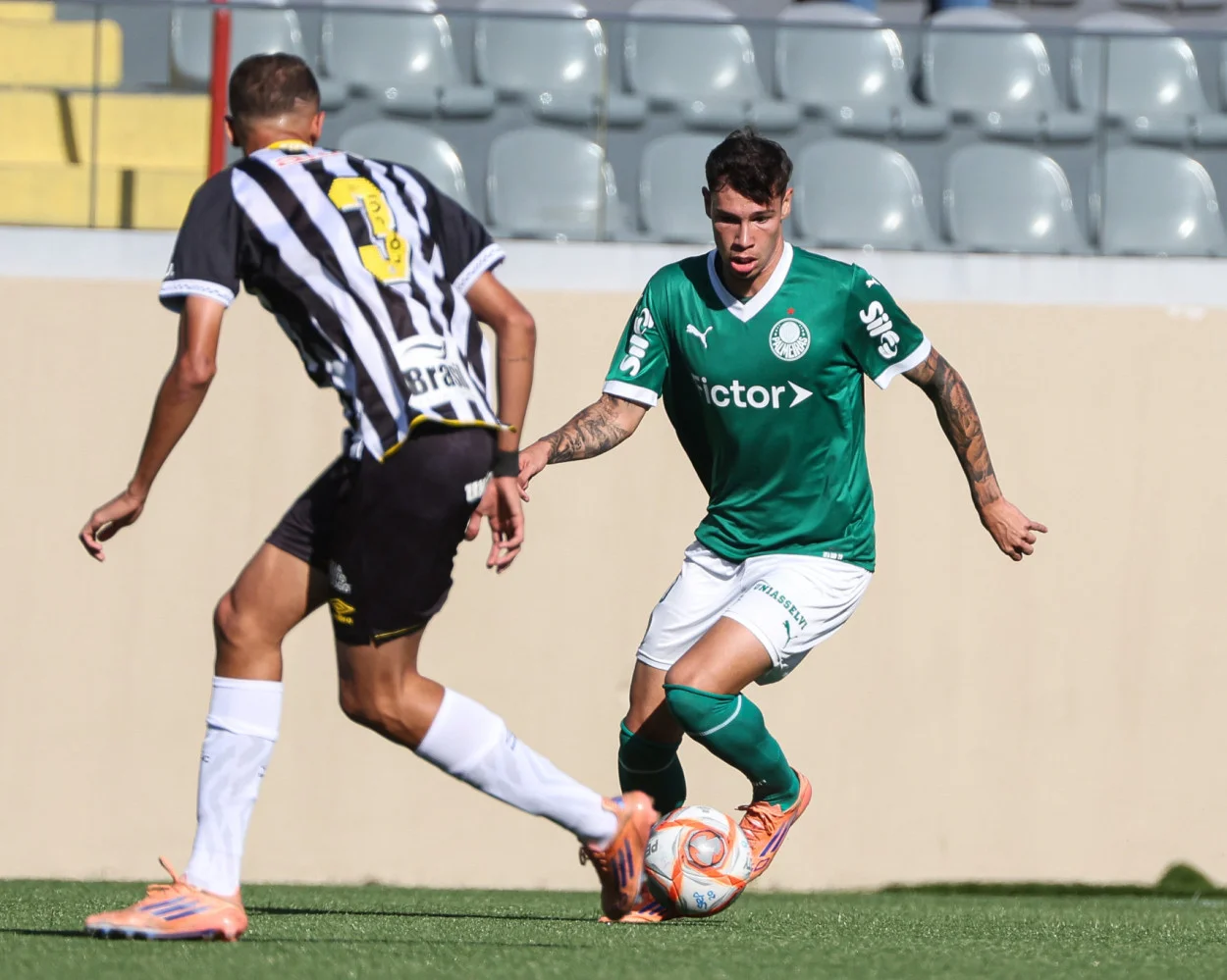 palmeiras