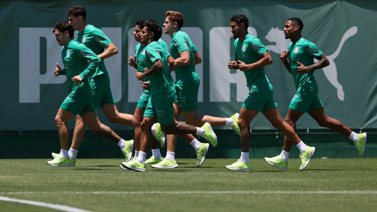palmeiras