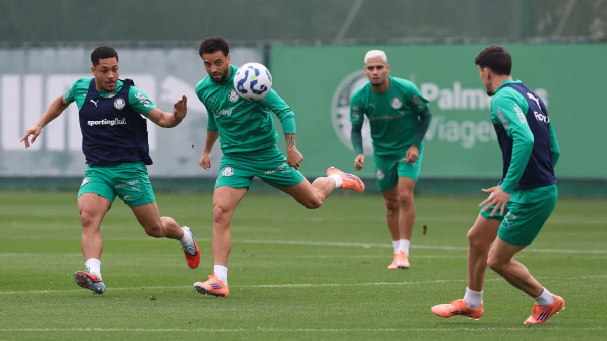 palmeiras