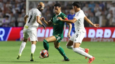 palmeiras x santos