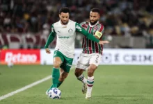 palmeiras x fluminense