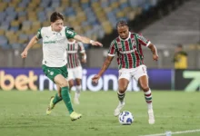 palmeiras x fluminense