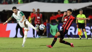 palmeiras