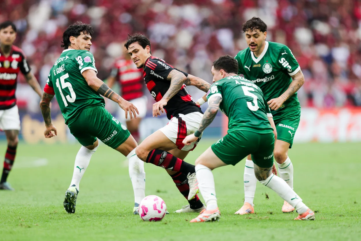 flamengo x palmeiras