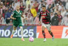 palmeiras x flamengo