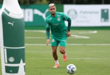 palmeiras andreas pereira