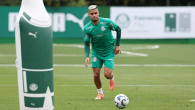 palmeiras andreas pereira