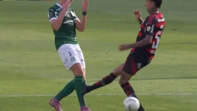 palmeiras x Flamengo