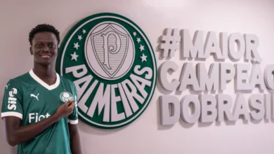 palmeiras koné