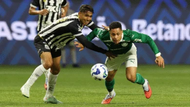 palmeiras x santos