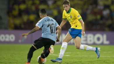 Bruno Fuchs Palmeiras