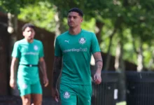 emiliano martínez palmeiras