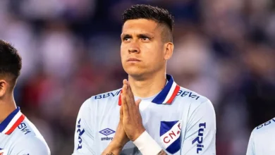 palmeiras Julian Millan