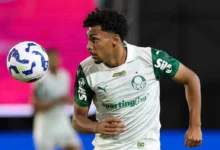 palmeiras luighi
