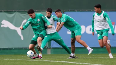 palmeiras