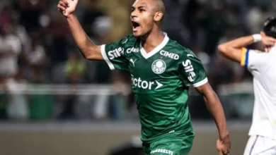 palmeiras