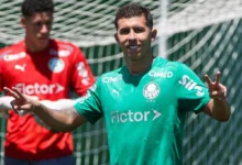 felipe teresa palmeiras
