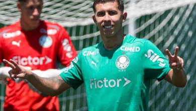 felipe teresa palmeiras