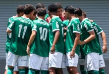 palmeiras