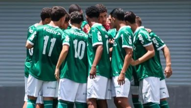 palmeiras