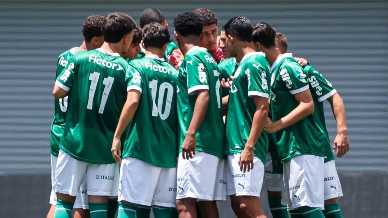 palmeiras