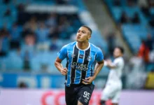 carlos vinicius palmeiras