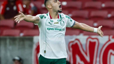 palmeiras andreas pereira