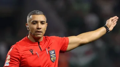 felipe fernandes de lima palmeiras