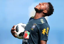fred palmeiras