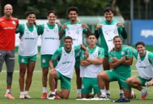 palmeiras