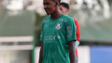 palmeiras porto