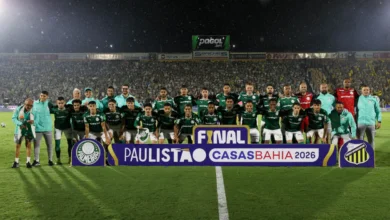 palmeiras